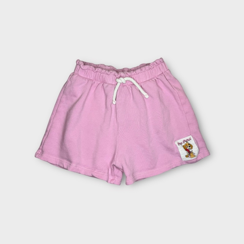 Zara x Paw Patrol Skye Pink Plush Shorts